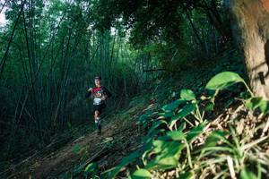 BIB: 
                            <button type="button" onclick="openModal(28124102)" class="btn btn-primary btn-sm float-right btn-popup" data-toggle="modal" data-target=".modal-high-quality">
                        <i class="fas fa-shopping-cart"></i> Add to Cart
                    </button>
                                            <button type="button" onclick="isThisMe(28124102, true)" class="btn btn-success btn-sm float-right btn-popup btn-isme hidden" data-toggle="tooltip" data-placement="bottom" title="นี่คือรูปของคุณใช่ไหม คลิกที่นี่เพื่อเอาเข้าอัลบั้ม">
                        <i class="fas fa-plus"></i> Add to album
                    </button>
                    <button type="button" onclick="isThisMe(28124102, false)" class="btn btn-warning btn-sm float-right btn-popup btn-isnotme hidden">
                        <i class="fas fa-ban"></i> Remove from album
                    </button>